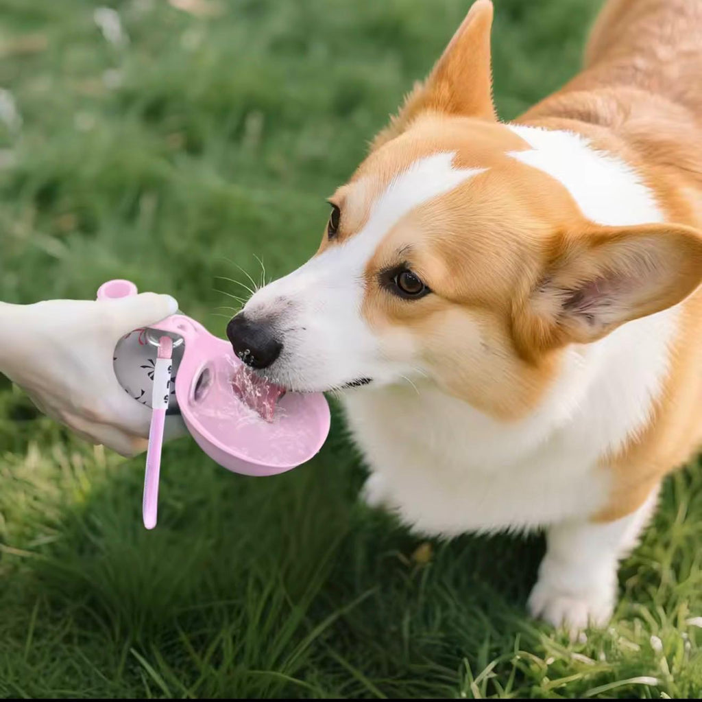 Botella Esfera Pro: Hidratación Perfecta y Bienestar en Cada Paseo 🐾