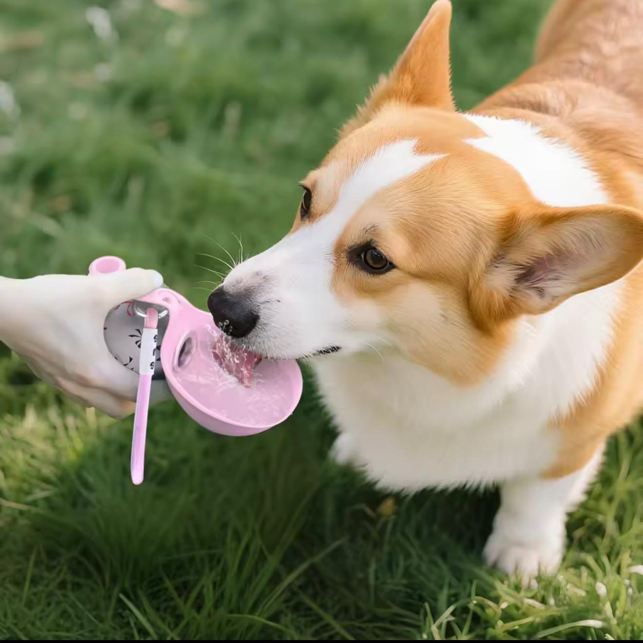 Botella Esfera Pro: Hidratación Perfecta y Bienestar en Cada Paseo 🐾